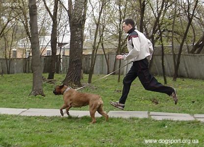 Носов Роман - переможець Етапу у Києві серед чоловіків