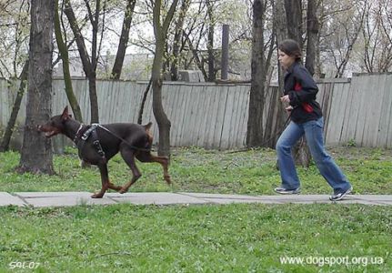 Вінник Ганна - переможець Етапу у Києві серед жінок