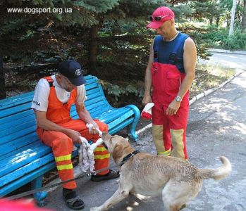 Іграшка з підручних засобів