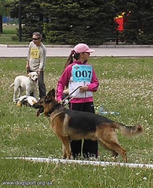 Лайф фон Остек Граф Рат (вл. Іванов С, с.Урзуф, Хендлер - Іванова Марина)