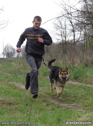 Київ. О.Заінчковський та Памір