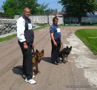 В очікуванні старту (слухняність)