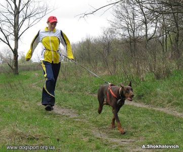 Київ. М.Кальченко та Шармі