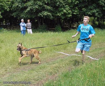 В.Іжевський