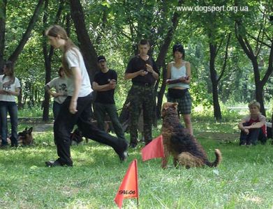 М.Петров та Даріан Лавінг Данілі