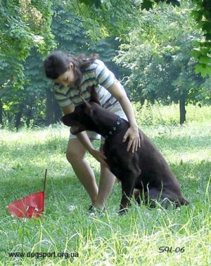 Заслужена похвала