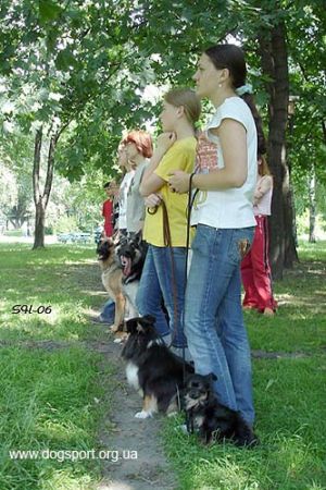 В очікуванні результатів