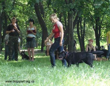 О.Полатайко та Доктор Ватсон Фаворит Вікторії