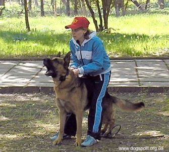 "Осідлаю свого коня"