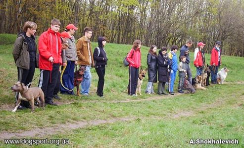 Київ. Нагородження переможців змагань