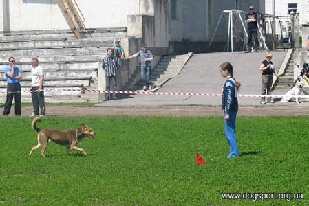 Прокоф'єва Юля з Сюзаною - підзив собаки (Юний кінолог)