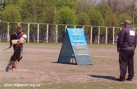 Фактор раптовості