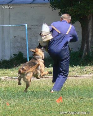 Припинення втечі н/в Черутті