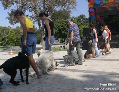 Обороти за годинниковою і проти годинникової стрілки група виконувала синхронно