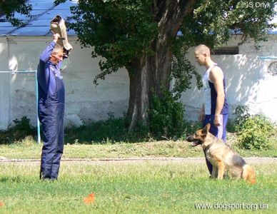 Обшук порушника і конвоювання Ванжа А. з н/в Черутті