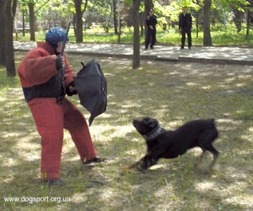 Євпать'євський М.