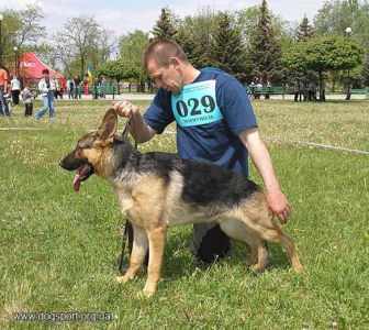 Прімус Інтер Парес Віскі (вл.Жигулін І.А., м.Маріуполь)