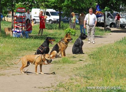 Перевірка витримки