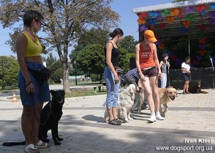 Парунова Катерина з Річіком виконують слалом між собаками