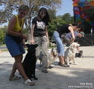 Шохалевич Оксана з Нітою виконують слалом між собаками