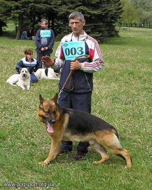 Цито Аус Дер Кляйн Цвінгер (вл.Ганжела В.С, С.Вільне)