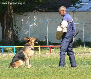 «Дай», «Припинення втечі», «Обшук порушника» н/в Барон