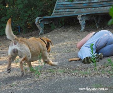 Річі мчить «рятувати» Єву