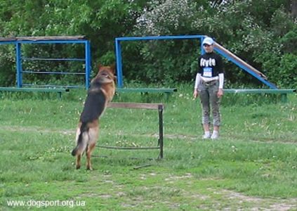 Апортирування з подоланням бар'єру