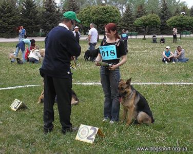 Ауді Нід Фор Спід (вл.Серединська В, м.Маріуполь)