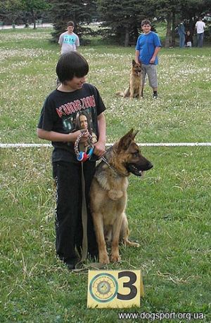 Учасники конкурсу "Дитина і собака"