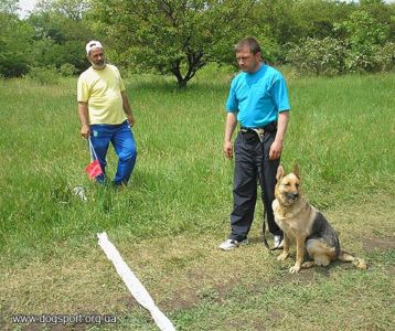 А.Джулік м.Павлоград