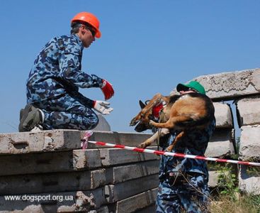 На завалах працюють н/в Вишня і Андрій Черлат, помічник Віталій Черлат