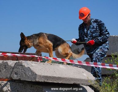 На завалах працюють н/в Вишня і Андрій Черлат, помічник Віталій Черлат