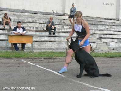 Гонтарєва Марія з н/в Ніка