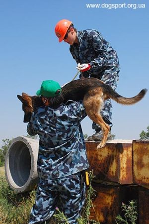 На завалах працюють н/в Вишня і Андрій Черлат, помічник Віталій Черлат