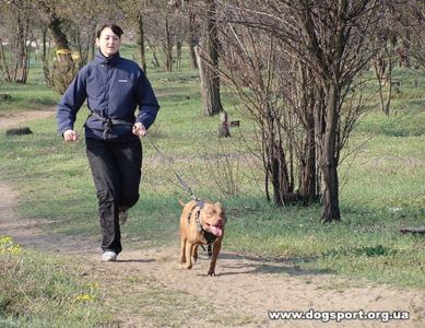 м.Білгород-Дністровський