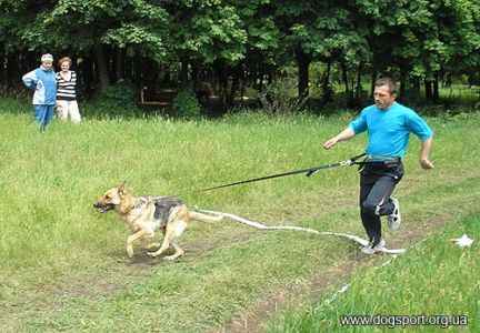 А.Джулік на трасі