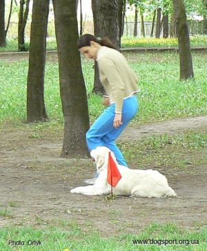 Укладка з руху