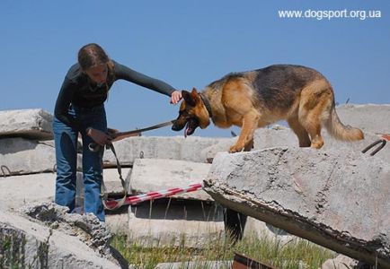 На завалах працюють н/в Хейлі і Танюша (Москва), помічник Віталій Черлат