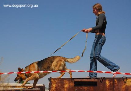 На завалах працюють н/в Хейлі і Танюша (Москва), помічник Віталій Черлат