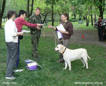 Третє місце в першій групі складності