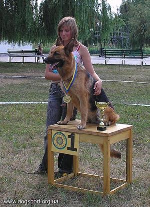 Бесі Даури (вл. Неведрова І., м.Лисичанськ)