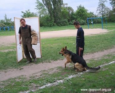 Дударєв Сергій, який посів 4 місце в абсолютному заліку із двоборства