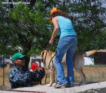 На завалах працюють Річі та Ганна Вінник, помічник Віталій Черлат