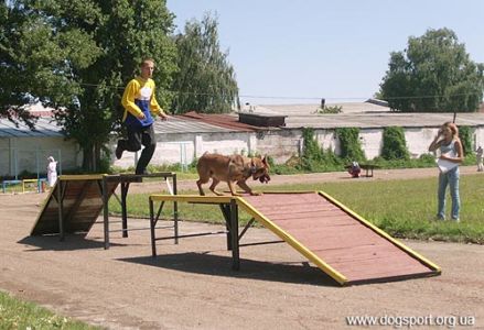 Сагайдак В. з малінуа Марк