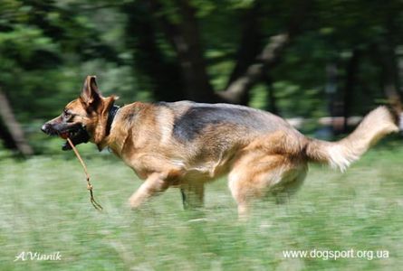 В очікуванні результатів...