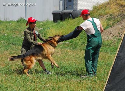 Працює Рекс