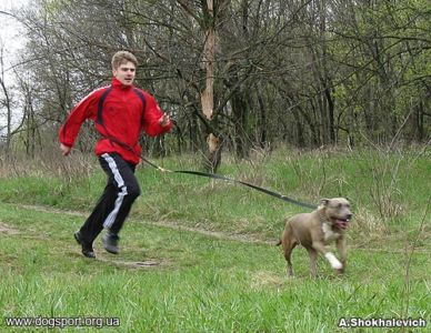 Київ. М.Літвіновський та Семі