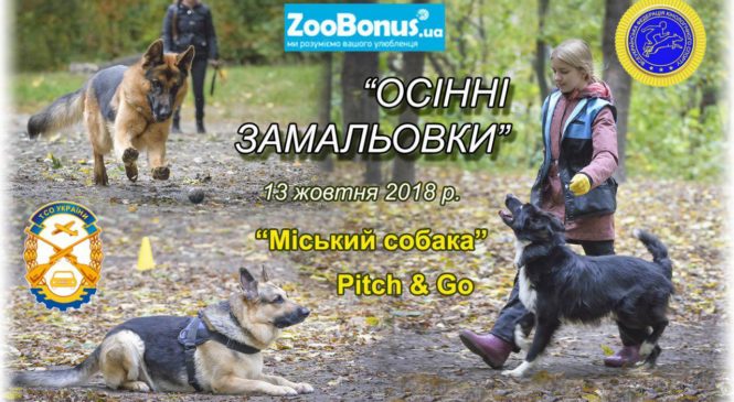 Відкриті змагання міста Києва за програмами «Пітч-енд-гоу» та «Міський собака» 13.10.2018