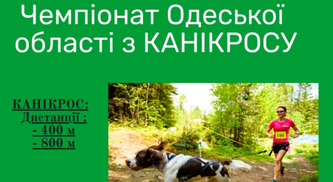 Чемпіонат Одеської області з канікросу 28.03.2020